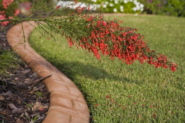 Brick Edging in Prescott