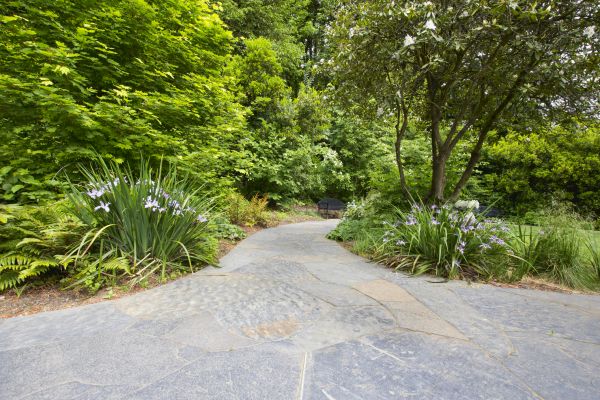Stone Hardscape Service in Prescott